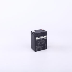 PALMA PM2.6-12 Battery