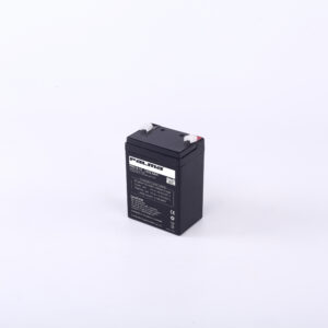 PALMA PM2.6-12 Battery