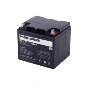 PALMA PM38-12 Battery