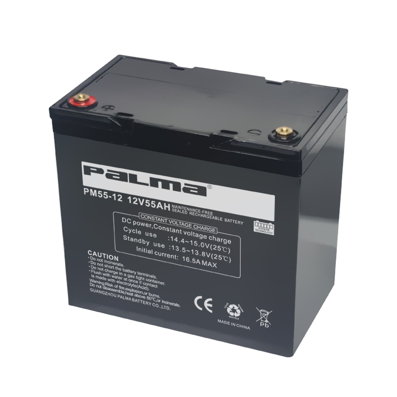 PALMA PM55-12 Battery