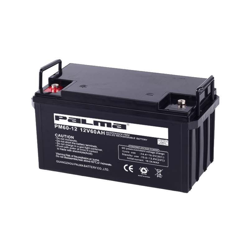 PALMA PM60-12 Battery
