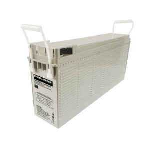 PALMA PMF100-12 Battery
