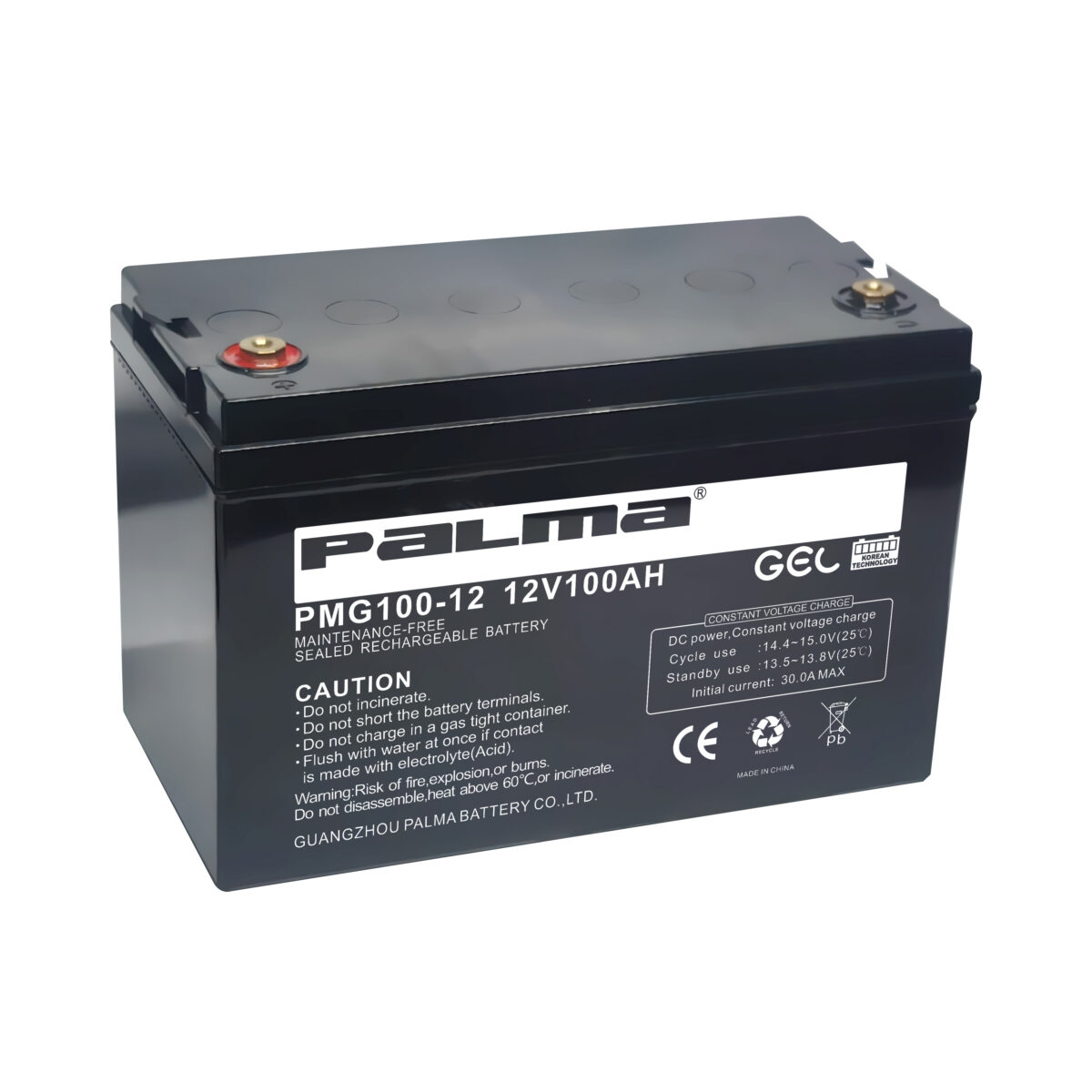PALMA PMG100-12 Battery