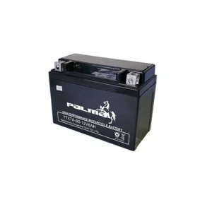 PALMA 12V 2.5Ah 3Ah 5Ah 7Ah Motorcycle Starting Battery Maintenance Free Lead Acid Motorcycles Battery product image