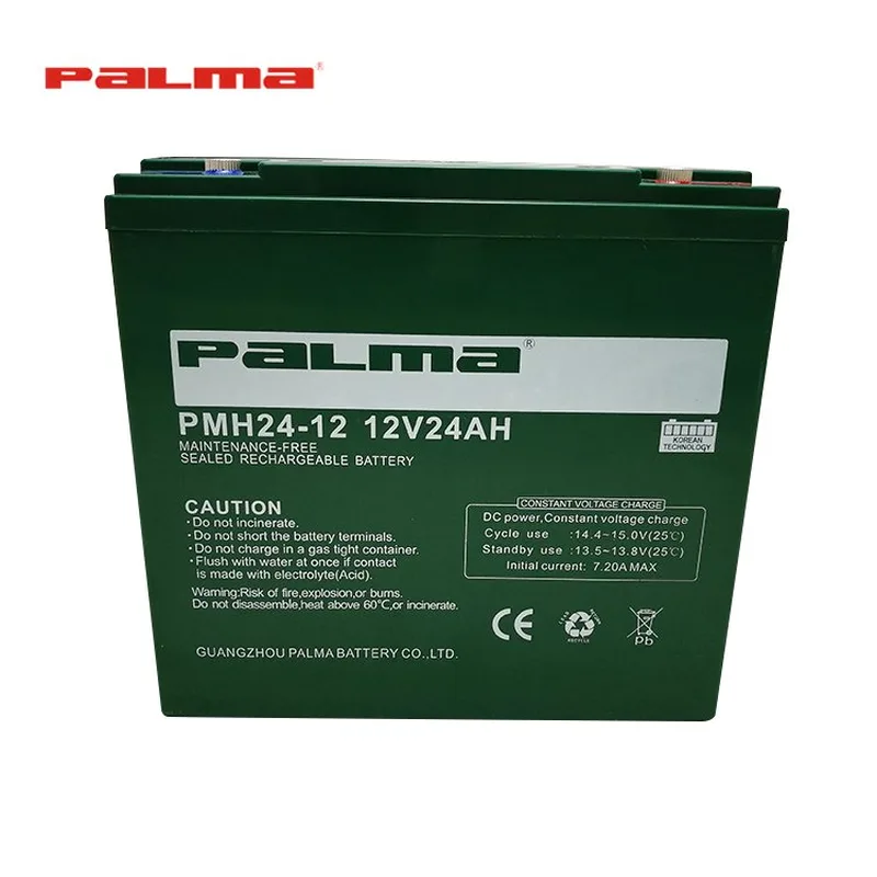 PALMA 12V 24Ah 6-dzm-20 Motive deep cycle electric bike battery front view
