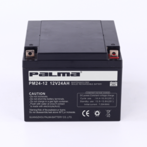 PALMA 12V 24Ah VRLA Backup UPS Solar Battery product image