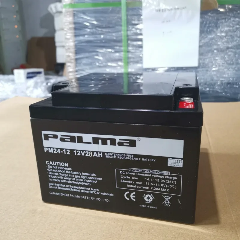 PALMA 12V 24Ah VRLA Backup UPS Solar Battery front view