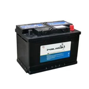 PALMA 55519 12V 55Ah DIN Battery For Truck product image