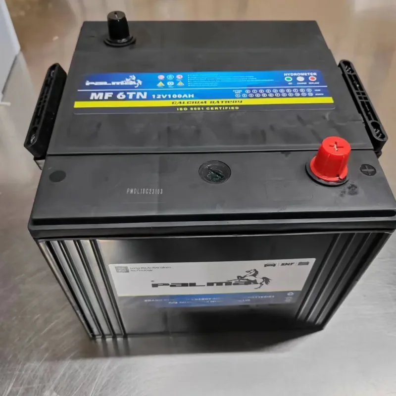 PALMA 6TN100 sealed lead acid 12V 100Ah car batteries Tank Square battery