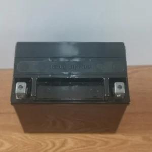 PALMA Battery YTX4L-BS-12V 3Ah 50 CCA Rechargeable Maintenance Free SLA AGM Motorcycle Battery China product image