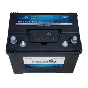 PALMA BCI Battery 24DC-600 Dual Terminal Maintenance-Free Deep Cycle 12V 70Ah Start Battery Warranty for Car Truck Replacement product image