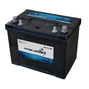 PALMA BCI Battery 24DC-600 Dual Terminal Maintenance-Free Deep Cycle 12V 70Ah Start Battery Warranty for Car Truck Replacement product image