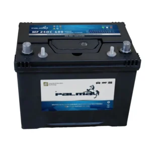 PALMA BCI Battery 24DC-600 Dual Terminal Maintenance-Free Deep Cycle 12V 70Ah Start Battery Warranty for Car Truck Replacement front view