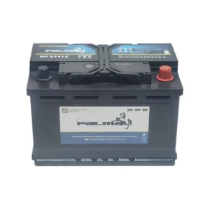 PALMA DIN75 car Auto Battery front view