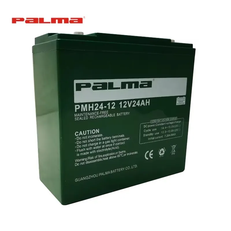 PALMA E-bike 12V 24Ah Maintenance Free Lead Acid VRLA Battery for Electric Wheelchair PMH24-12 front view