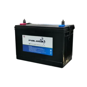 PALMA G31 Double Terminal Marine Battery product image