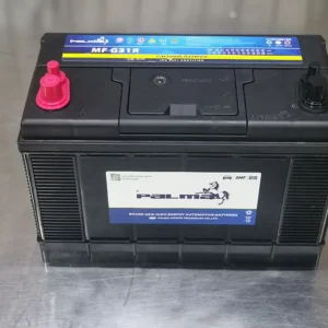 PALMA G31 Double Terminal Marine Battery product image