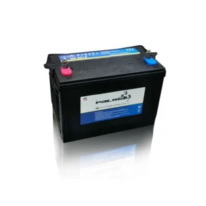 PALMA G31 Double Terminal Marine Battery product image
