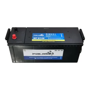 PALMA N120 12V 120Ah Car Truck Battery For Auto front view