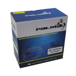 PALMA NS60 JIS 46B24L 12V 60Ah SMF Automobile Battery product image