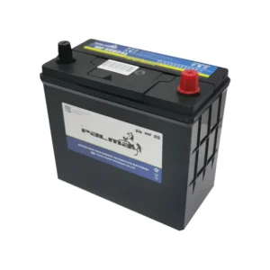 PALMA NS60 JIS 46B24L 12V 60Ah SMF Automobile Battery product image