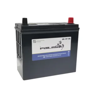 PALMA NS60 JIS 46B24L 12V 60Ah SMF Automobile Battery product image