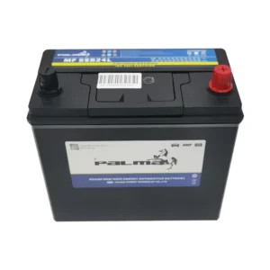 PALMA NS60 JIS 46B24L 12V 60Ah SMF Automobile Battery front view