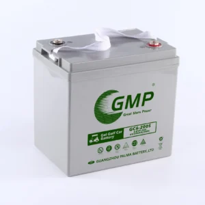 PALMA Scissor Lift Electric Trolley EVF MF Batteries 6V 200Ah Lead Acid Golf Carts Batteries Charger product image