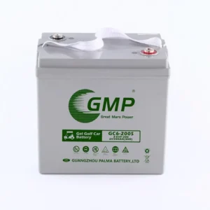 PALMA Scissor Lift Electric Trolley EVF MF Batteries 6V 200Ah Lead Acid Golf Carts Batteries Charger product image