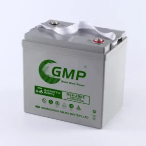 PALMA Scissor Lift Electric Trolley EVF MF Batteries 6V 200Ah Lead Acid Golf Carts Batteries Charger front view