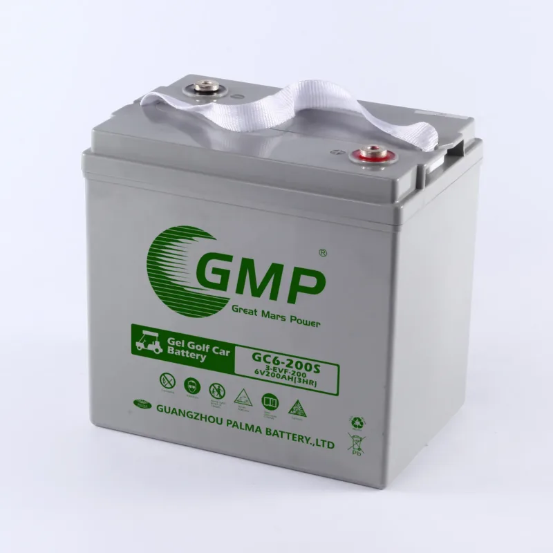 PALMA Scissor Lift Electric Trolley EVF MF Batteries 6V 200Ah Lead Acid Golf Carts Batteries Charger front view