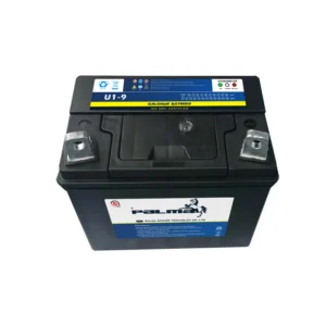 PALMA U1-9 12V 24Ah Lawn Mower lead acid Battery product image