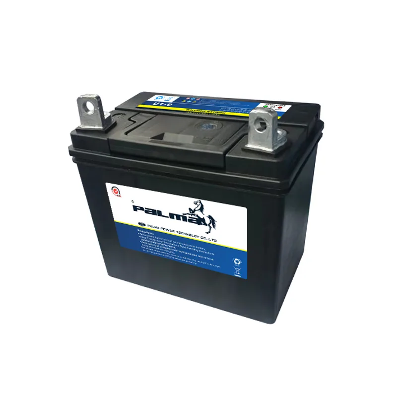 PALMA U1-9 12V 24Ah Lawn Mower lead acid Battery