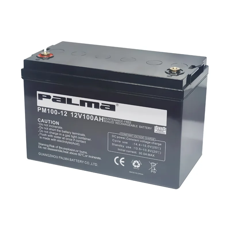 PALMA VRLA 12V 100Ah AGM Sealed valve-regulated lead-acid battery front view