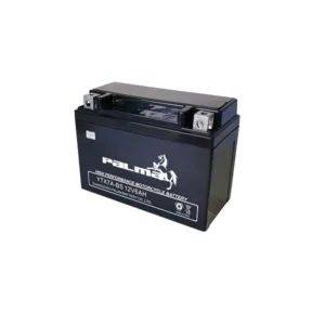 PALMA YTX7A-BS Lead Acid Battery For Motorcycle product image